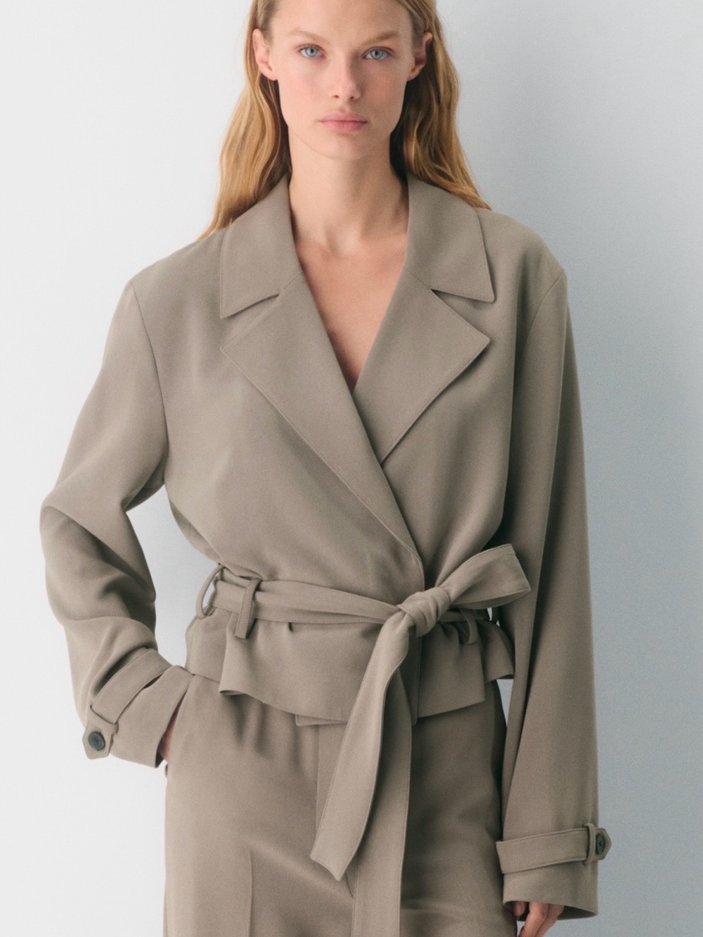 Aritzia postage trench coat